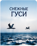Обложка проекта Снежные гуси